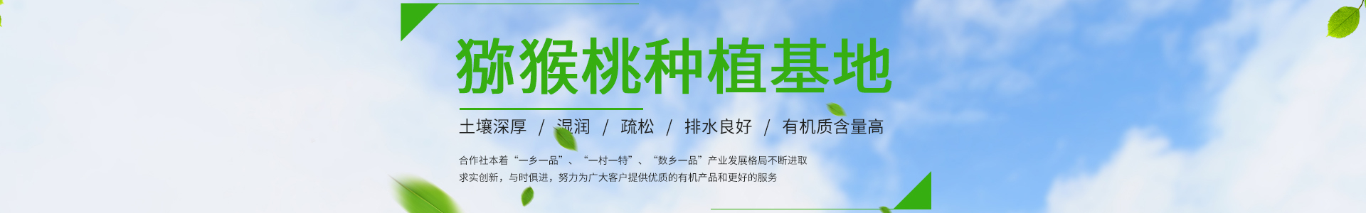 爱游戏手机版-爱游戏（官方）正版APP下载中心