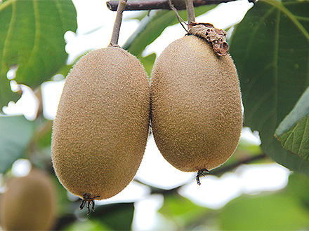 爱游戏手机版基地展示一