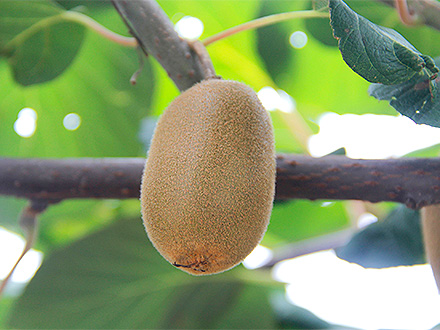 爱游戏手机版基地展示二