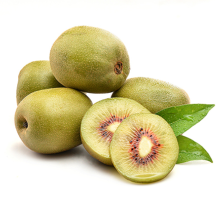 爱游戏手机版产品中心八